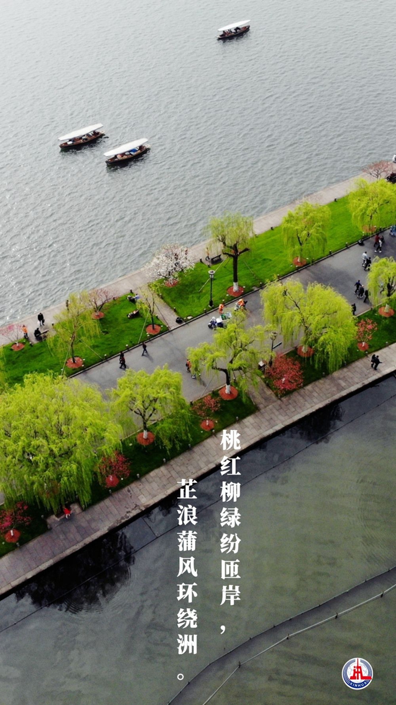 新華全媒+丨植樹傳統(tǒng)，從古詩中走來