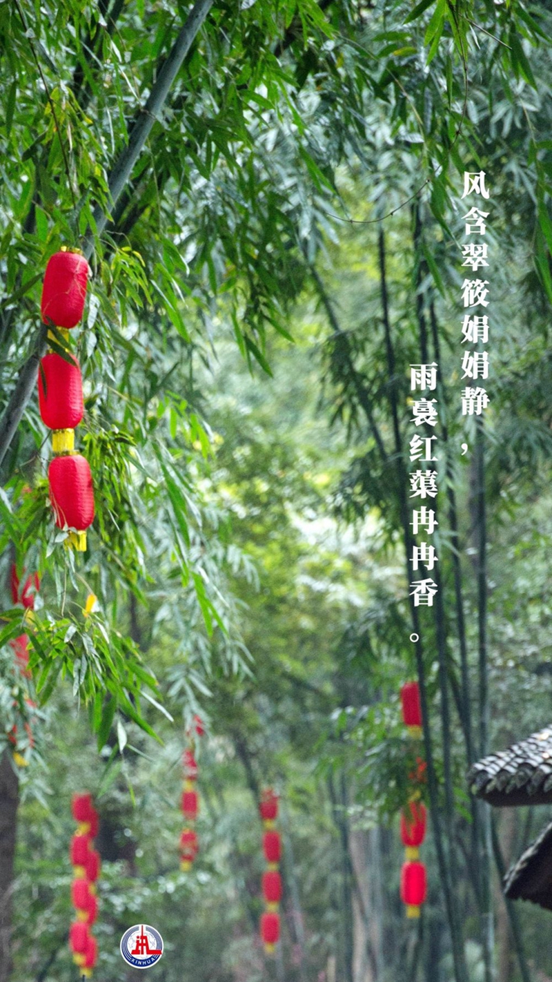 新華全媒+丨植樹傳統(tǒng)，從古詩中走來