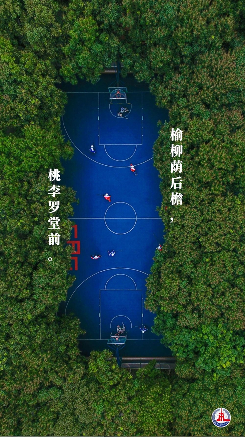 新華全媒+丨植樹傳統(tǒng)，從古詩中走來