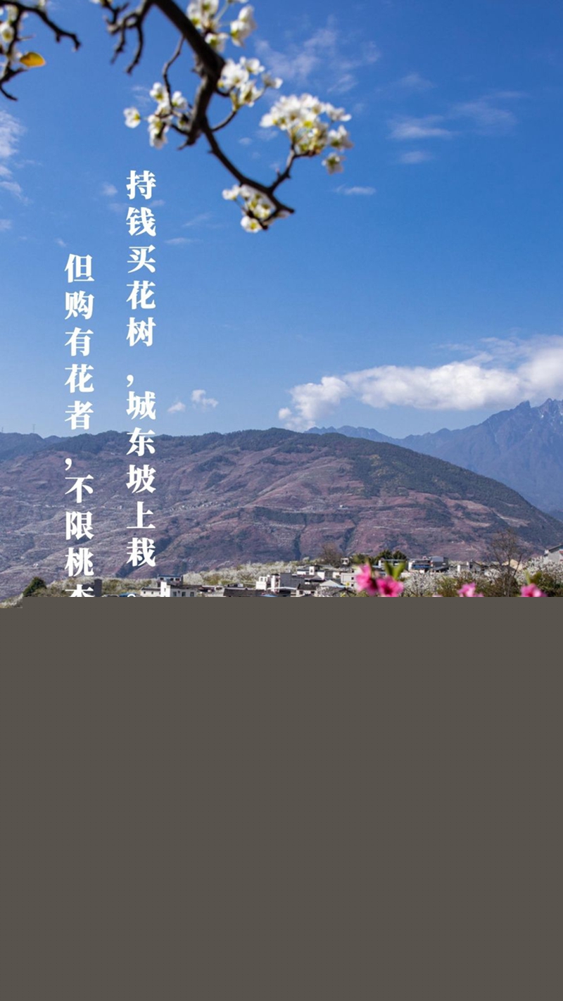 新華全媒+丨植樹傳統(tǒng)，從古詩中走來