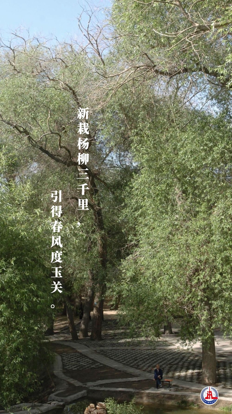 新華全媒+丨植樹傳統(tǒng)，從古詩中走來