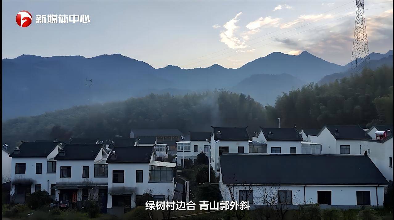  “請總書記放心，我們一定會把大灣村建設(shè)得更美更好”