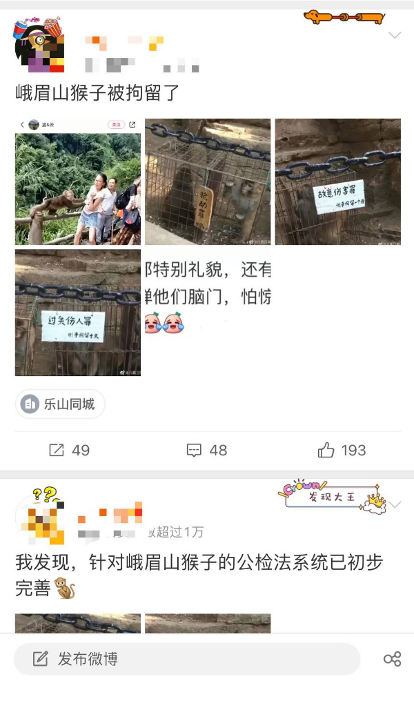 峨眉山猴子被拘留？假的！峨眉山猴子是國家二級保護動物