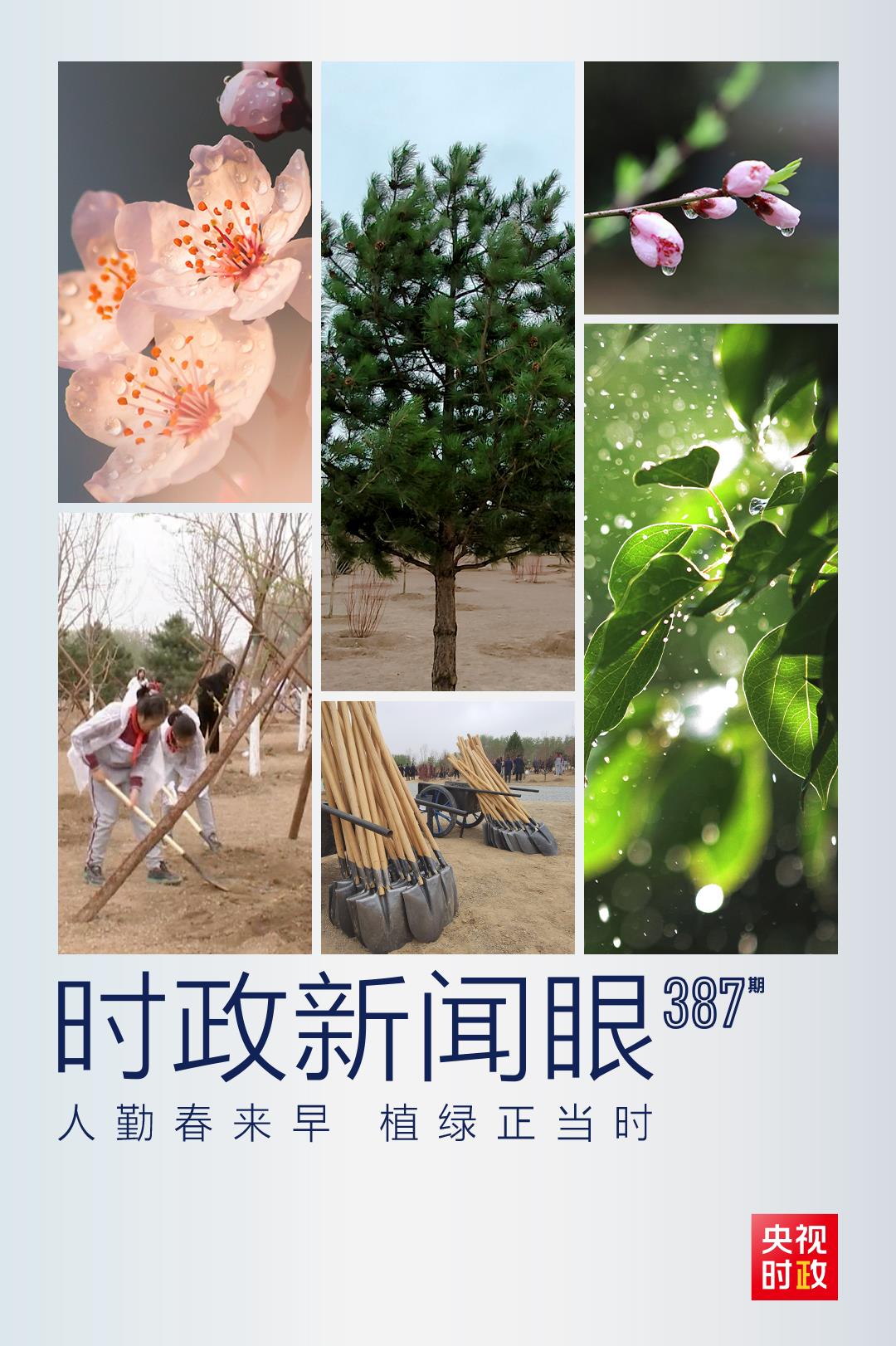時政新聞眼丨在今年首都義務(wù)植樹現(xiàn)場，習(xí)近平這三句話飽含深意