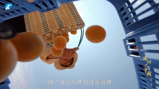 《成語(yǔ)里的中國(guó)》：為政以德