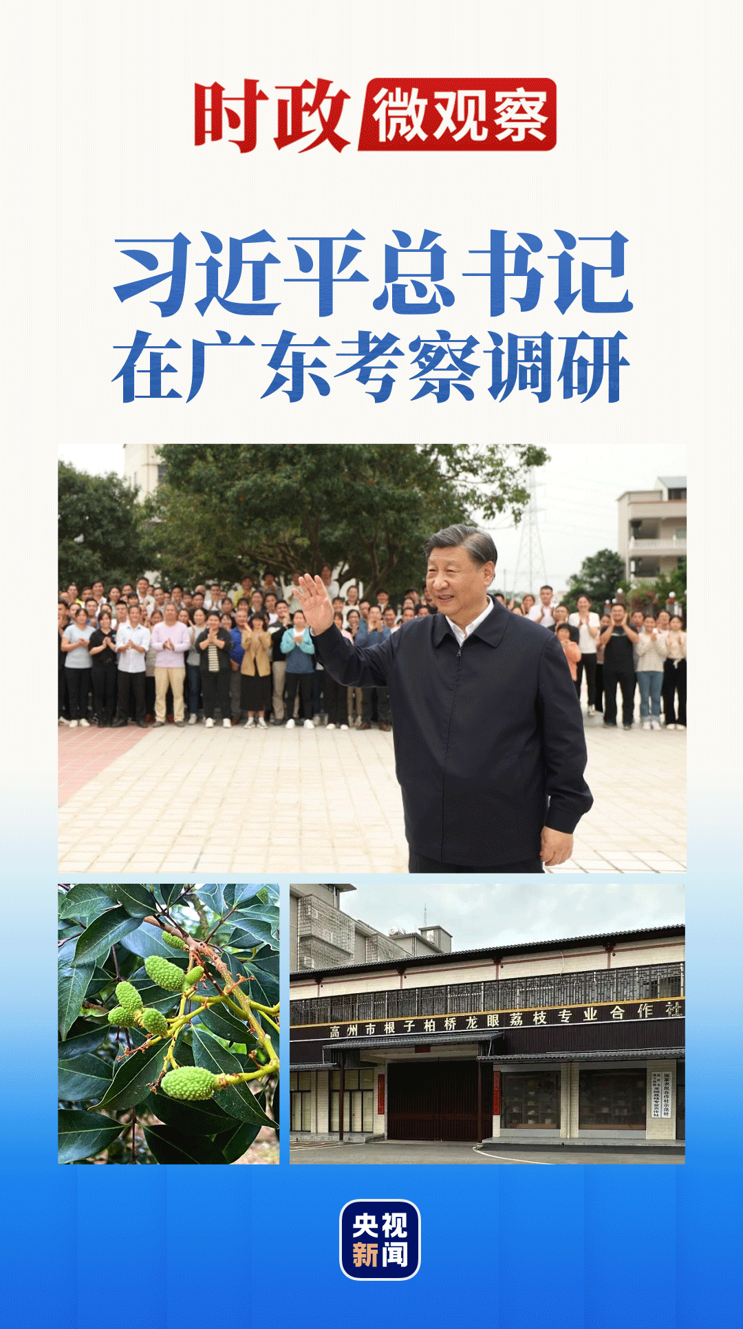  時(shí)政微觀察丨總書(shū)記多次考察專(zhuān)業(yè)合作社，有何深意？