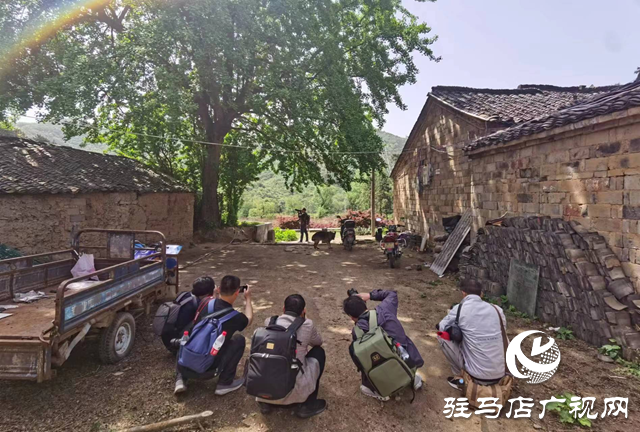 “走進(jìn)蓮塘古村落 與歷史悠然邂逅” ——駐馬店市青年攝影家協(xié)會開展攝影采風(fēng)活動