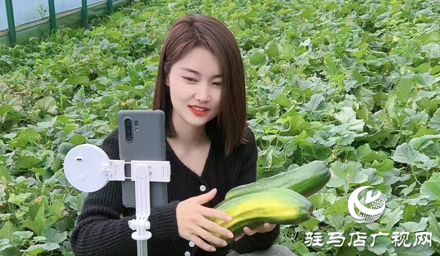 泌陽(yáng)縣：瓜果梨桃繪就鄉(xiāng)村振興新畫卷