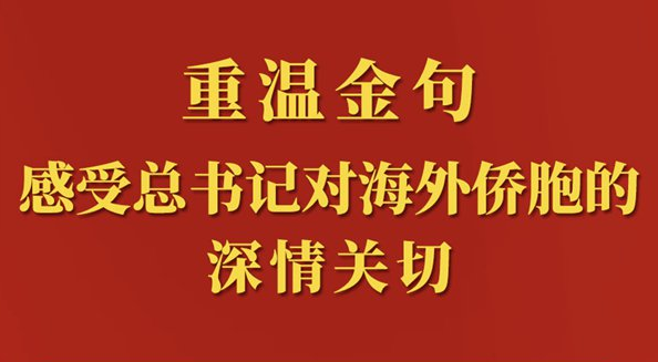 重溫金句，感受總書記對海外僑胞的深情關(guān)切