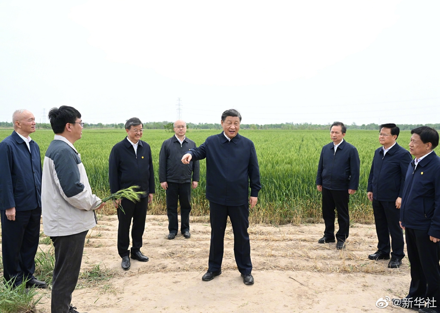 習(xí)近平在滄州市考察調(diào)研