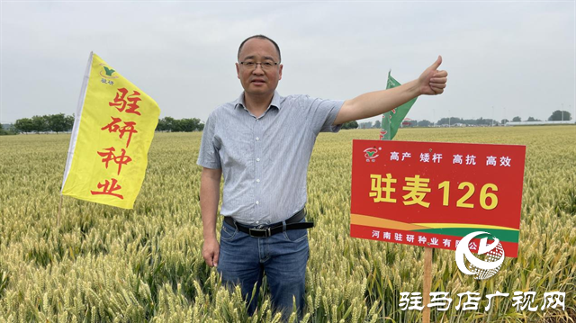 【喜訊】熱烈祝賀河南駐研種業(yè)小麥新品種“駐麥126”通過國審！