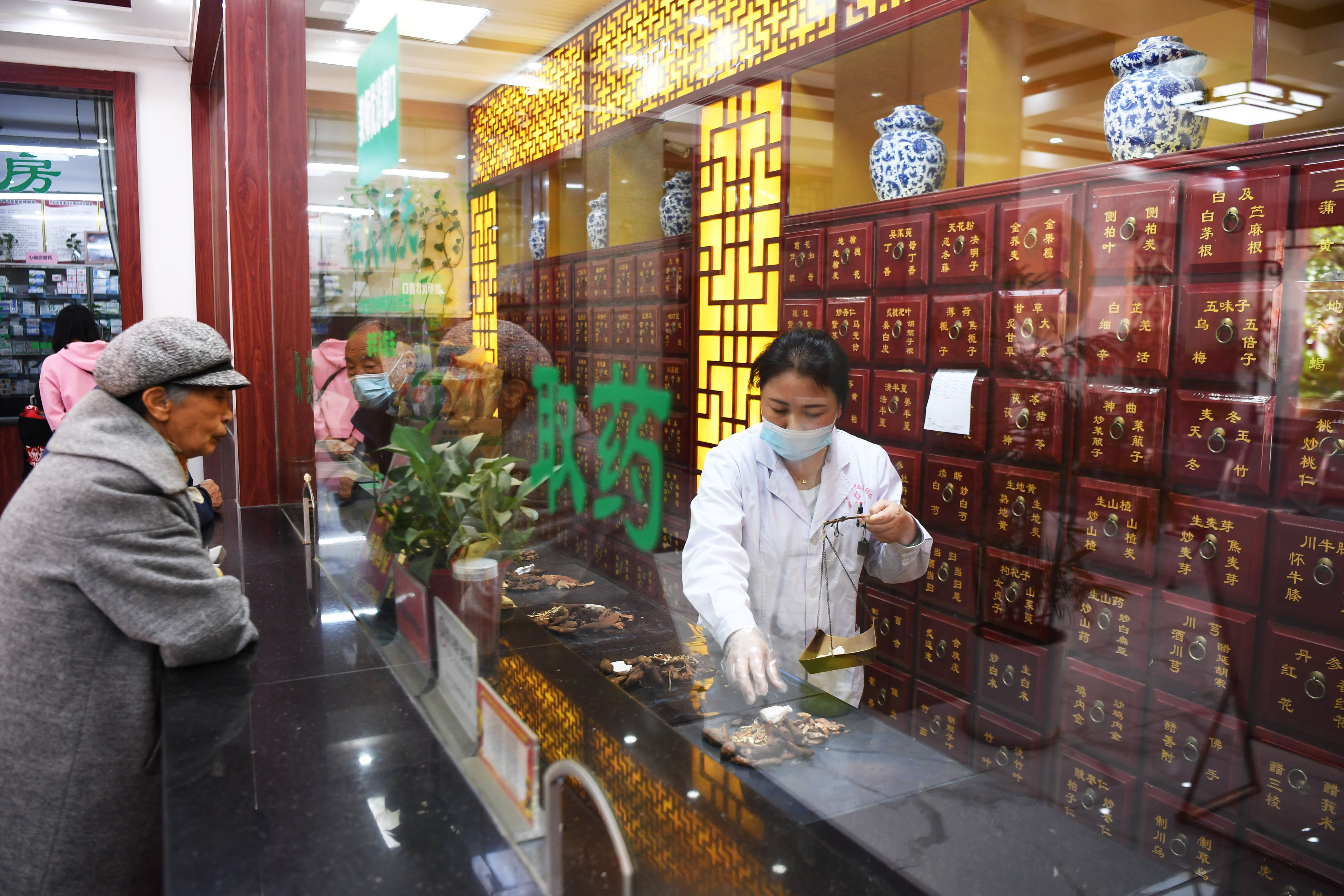 花千樹 香滿路：歷史名城南陽的“綠色”躍升