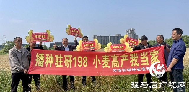 駐研種業(yè)捷報(bào)頻傳：駐麥126、駐麥156、駐研198相繼通過審定