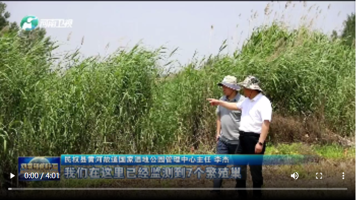  民權(quán)：縣里有了博士團(tuán) 丨一線問(wèn)計(jì)·引才