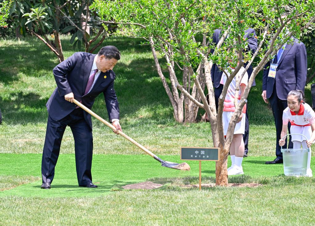 中國—中亞峰會丨這些年，習近平主席種下這些友誼之樹