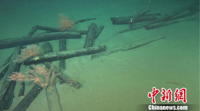 考古重大發(fā)現(xiàn)！南海1500米深度海域發(fā)現(xiàn)古代沉船