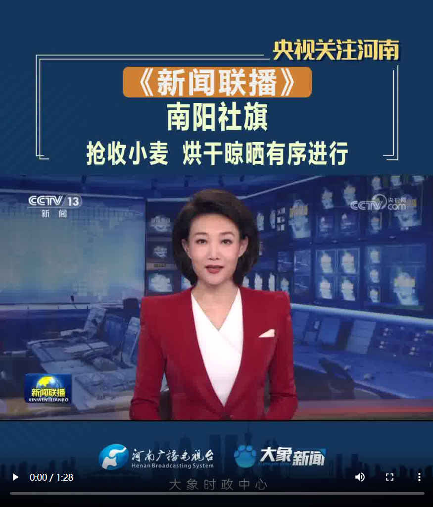 【央視聯(lián)播關注河南社旗】搶收小麥 烘干晾曬有序進行