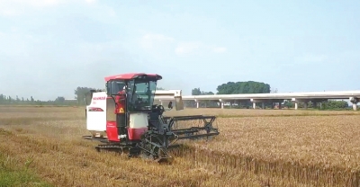 直擊駐馬店、南陽、平頂山、信陽四地麥收一線 見證奔跑的&ldquo;三夏&rdquo;
