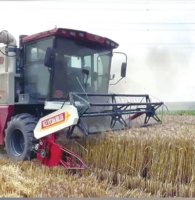 直擊駐馬店、南陽、平頂山、信陽四地麥收一線 見證奔跑的&ldquo;三夏&rdquo;