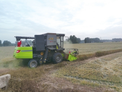 直擊駐馬店、南陽、平頂山、信陽四地麥收一線 見證奔跑的&ldquo;三夏&rdquo;