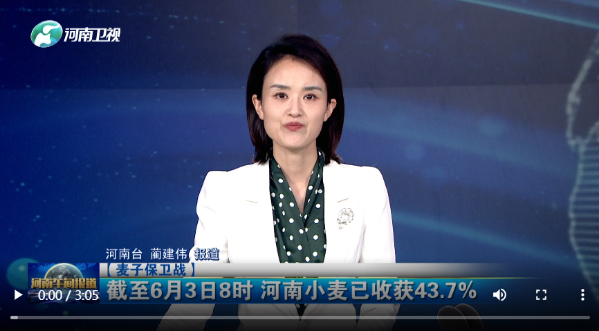 【麥子保衛(wèi)戰(zhàn)】搶收小麥 河南拼了