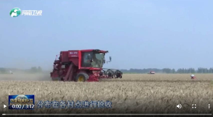 “雨”口奪糧 全力搶收|麥子保衛(wèi)戰(zhàn)?搶收