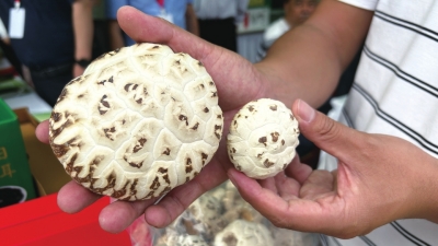 1104家企業(yè)、3600多種產(chǎn)品，參展規(guī)模創(chuàng)歷年之最 河南舉辦“土特產(chǎn)”嘉年華