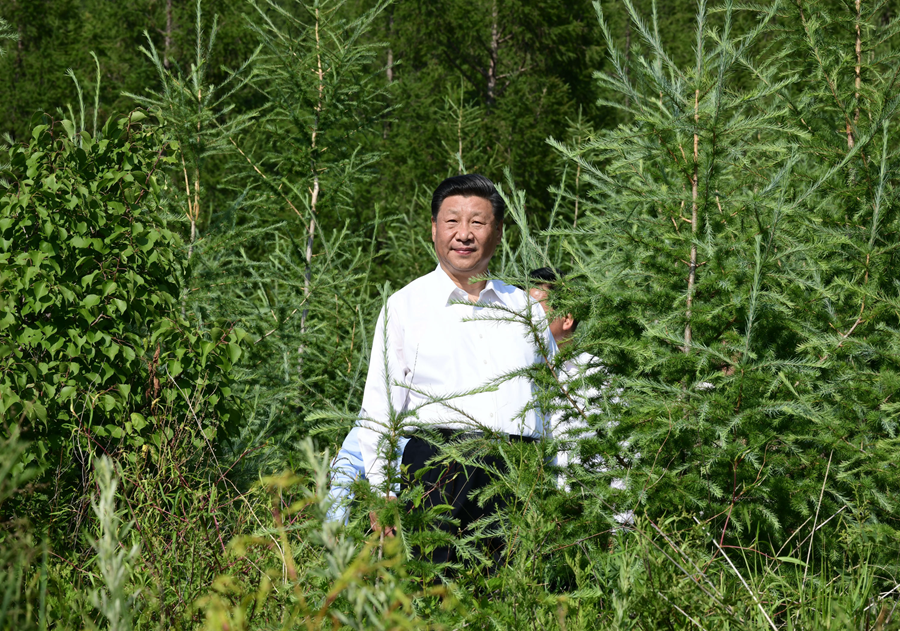 學(xué)習(xí)進(jìn)行時(shí)丨構(gòu)筑“萬(wàn)里綠色長(zhǎng)城”，總書記念茲在茲