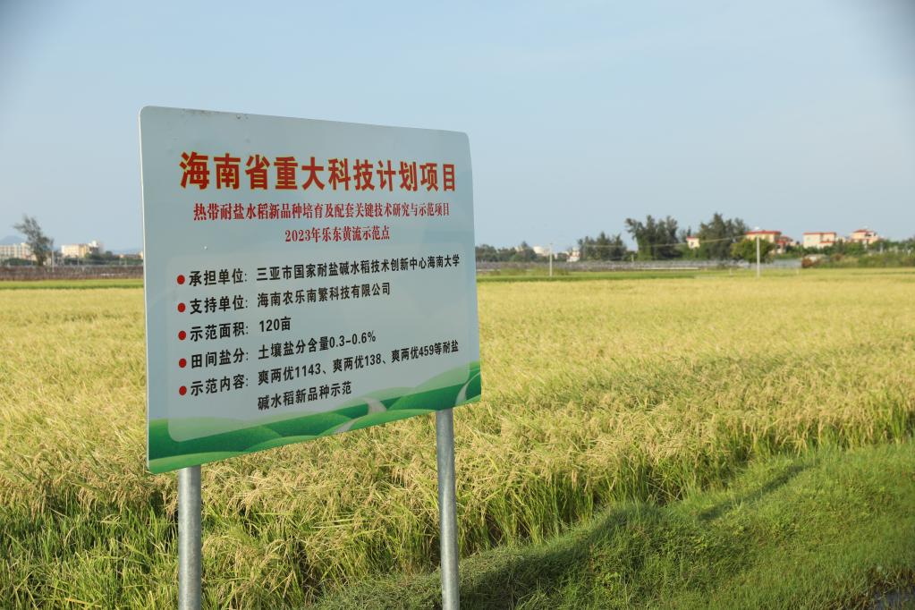 習(xí)近平總書記關(guān)切事丨做好這篇“大文章”，田間地頭有答卷