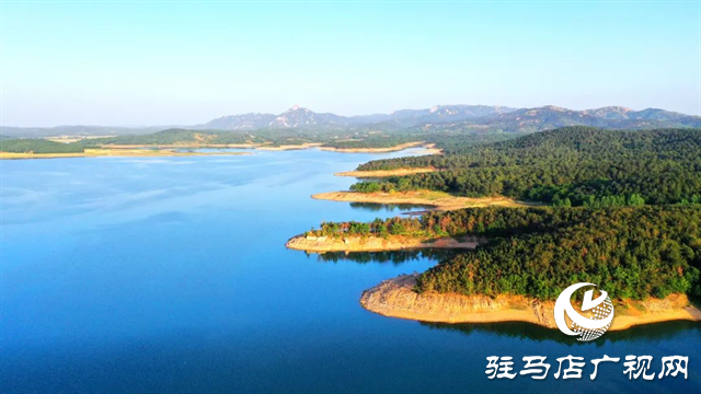 六月的泌陽(yáng)，美出圈了！