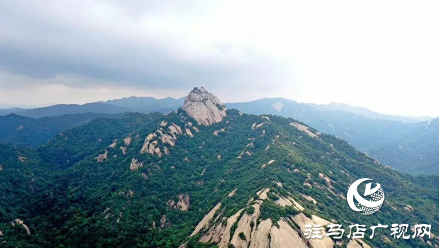 六月的泌陽(yáng)，美出圈了！