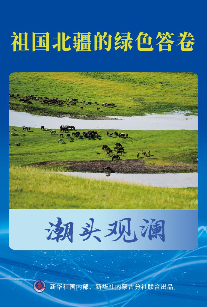 潮頭觀瀾丨祖國北疆的綠色答卷