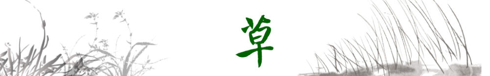 衛(wèi)星視角丨跟著總書記的足跡，感受中國生態(tài)變遷