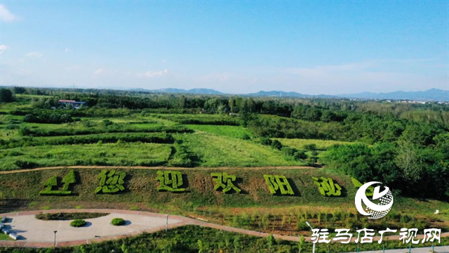 六月的泌陽(yáng)，美出圈了！