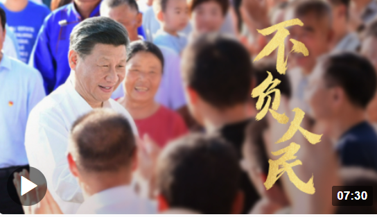 時政微視頻丨不負人民