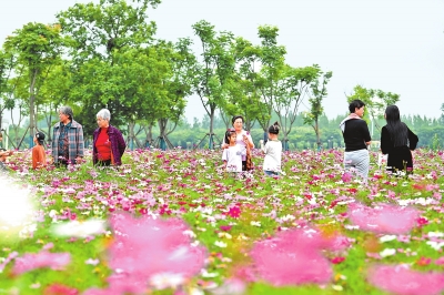 新時(shí)代 新征程 新偉業(yè)丨國(guó)際花園城市競(jìng)賽，信陽(yáng)憑啥“蟾宮折桂”