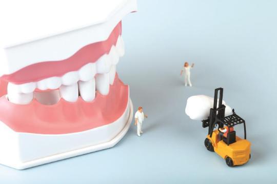 種植牙想用一輩子？收好“維?！惫ヂ? /></p>
<p>■于德棟 章文冉</p>
<p>近年來(lái)，越來(lái)越多牙齒缺失患者選擇種植牙作為牙齒修復(fù)方案。與傳統(tǒng)假牙相比，種植牙可以與自己的天然牙媲美，咀嚼、發(fā)音功能更好，美觀、舒適度更高，是絕大多數(shù)情況下最佳的一種缺牙修復(fù)方法。</p>
<p>種植牙最長(zhǎng)使用壽命的世界紀(jì)錄由一名瑞典人保持，他在1967年接受了全口種植牙手術(shù)，至今已使用56年。那么，這是否意味著種植牙一定可以使用一輩子呢？其實(shí)，現(xiàn)實(shí)中有的患者種植后很短時(shí)間就出現(xiàn)了種植牙發(fā)炎、折裂、脫落等情況。這樣糟糕的結(jié)果是由很多因素共同導(dǎo)致的，這一結(jié)果既可能與醫(yī)療有關(guān)，也可能與患者的使用、維護(hù)非常相關(guān)。今天就這一大眾關(guān)心的種植牙壽命與維護(hù)問(wèn)題，與讀者詳細(xì)說(shuō)說(shuō)。</p>
<p>種植牙與天然牙有何不同？</p>
<p>種植牙由埋在骨頭里的種植體、上面的牙冠、以及連接種植體和牙冠之間的基臺(tái)三部分組成。經(jīng)常采用的治療步驟是將種植體先植入牙槽骨內(nèi)，待其與牙槽骨長(zhǎng)到一起后，再安裝基臺(tái)、制作牙冠。具體的流程與周期長(zhǎng)度因患者的骨頭和牙齦的質(zhì)、量情況、最佳治療方案的抉擇、患者的主觀意愿等因素綜合決定。</p>
<p>相比于傳統(tǒng)的固定義齒，種植牙不需要磨除兩側(cè)健康的天然牙；也沒(méi)有活動(dòng)義齒的基托與卡環(huán)，減少了異物感；咀嚼功能更強(qiáng)，讓發(fā)音更清晰。此外，美觀上，種植牙也可能優(yōu)于傳統(tǒng)義齒。</p>
<p>那么，種植牙與天然牙有何不同？</p>
<p>雖然種植牙在外觀上與天然牙十分接近，功能上也往往優(yōu)于傳統(tǒng)義齒，但因材質(zhì)、組織解剖的局限，還是無(wú)法完全取代天然牙。與天然牙相比，種植牙的不同主要包括三個(gè)方面。</p>
<p>第一，材料。種植體和基臺(tái)通常由鈦合金、氧化鋯等生物相容性非常好的材質(zhì)制成，在受到巨大外力或過(guò)度使用時(shí)，會(huì)產(chǎn)生疲勞，進(jìn)而出現(xiàn)種植體、基臺(tái)折斷、松動(dòng)等情況。</p>
<p>第二，與骨的結(jié)合方式。天然牙與牙槽骨靠牙周膜連接，具有一定的緩沖空間。而種植牙直接與牙槽骨發(fā)生骨結(jié)合，缺少緩沖，其牢固程度受多方面因素影響，如種植體材料的生物相容性、牙槽骨的成骨情況、剩余可用骨量骨質(zhì)等等。如果發(fā)生種植體周?chē)装Y、創(chuàng)傷、骨質(zhì)疏松、過(guò)大咬合力等原因，可能發(fā)生牙槽骨吸收，進(jìn)而種植體發(fā)生松動(dòng)、脫落。</p>
<p>第三，抗感染能力。在口腔衛(wèi)生狀況不好或周?chē)M織不健康的情況下，種植牙比天然牙更容易發(fā)炎，而且發(fā)炎之后更不容易得到有效控制。</p>
<p>種植牙松動(dòng)了怎么辦？</p>
<p>種植牙的松動(dòng)可能發(fā)生在牙冠、基臺(tái)、種植體多個(gè)部位，患者如發(fā)現(xiàn)松動(dòng)，需要盡快到醫(yī)院就診，由醫(yī)生確定松動(dòng)的部位、原因，再進(jìn)行相應(yīng)處理。</p>
<p>第一，牙冠松動(dòng)。需要將松動(dòng)的牙冠取下，去除導(dǎo)致松動(dòng)等原因，清潔后再重新安裝。</p>
<p>第二，基臺(tái)松動(dòng)。一般是由于連接基臺(tái)與種植體的螺絲松解所導(dǎo)致，解除松動(dòng)原因后，再重新安裝。</p>
<p>第三，種植體松動(dòng)。需要根據(jù)種植體松動(dòng)的程度及原因，選擇相應(yīng)干預(yù)措施。</p>
<p>正確維護(hù)是種植牙長(zhǎng)期穩(wěn)定的保證</p>
<p>很多患者認(rèn)為種植牙做好后便能胡吃海喝、終身使用了。其實(shí)，跟天然牙相比，種植牙除了不會(huì)發(fā)生蟲(chóng)牙外，其他天然牙有的問(wèn)題，種植牙都可能發(fā)生，例如折裂、發(fā)炎、脫落等。如果造成牙齒缺損或缺失的根源沒(méi)有糾正，那么種植牙同樣存在損壞的極大風(fēng)險(xiǎn)。</p>
<p>保持良好的生活、口腔衛(wèi)生習(xí)慣對(duì)種植牙的長(zhǎng)期穩(wěn)定有重要意義。同時(shí)，良好的習(xí)慣也能預(yù)防、減少其他牙齒的疾病發(fā)生。種植牙的維護(hù)可以總結(jié)為5點(diǎn)：</p>
<p>第一，保持口腔清潔?？谇恍l(wèi)生是保持天然牙和種植牙健康的基礎(chǔ)，要采用正確的刷牙方法(推薦使用“巴氏刷牙法”)，堅(jiān)持早晚刷牙。可以輔以沖牙器、牙線、間隙刷，對(duì)牙齒及牙周組織進(jìn)行全面清潔，避免炎癥的產(chǎn)生。</p>
<p>第二，避免咀嚼過(guò)硬食物。硬殼堅(jiān)果、甘蔗、豬大骨、大閘蟹……都是令人無(wú)法抗拒的美食，但對(duì)種植牙患者來(lái)說(shuō)，應(yīng)該盡量避免咬這些過(guò)硬的食物。種植牙無(wú)法承受過(guò)大的咬合力，咀嚼過(guò)硬的食物可能造成種植牙的崩瓷、折斷、種植體脫落等問(wèn)題，導(dǎo)致種植失敗。</p>
<p>第三，戒煙。香煙中的尼古丁、焦油等致癌物會(huì)對(duì)牙周組織產(chǎn)生慢性刺激，影響種植手術(shù)的傷口愈合以及牙周組織的修復(fù)。此外，煙漬的形成會(huì)使牙齒表面變得粗糙，讓牙結(jié)石更容易沉積，引發(fā)牙齦炎癥。因此，種植牙患者應(yīng)盡量減少吸煙頻率和數(shù)量。</p>
<p>第四，干預(yù)夜磨牙等口腔副功能。如果發(fā)現(xiàn)自己晚上會(huì)磨牙，要及時(shí)找到種牙醫(yī)生，開(kāi)展制作夜磨牙墊等干預(yù)措施。</p>
<p>第五，定期復(fù)診。人的牙槽骨不是一成不變的，隨著年齡增長(zhǎng)，牙槽骨、種植體周?chē)难例l、咬合高度等都會(huì)出現(xiàn)時(shí)空伴隨的、動(dòng)態(tài)的吸收與改建，定期復(fù)診可以讓醫(yī)生及時(shí)進(jìn)行調(diào)整或給出進(jìn)一步治療方案。</p>
<p>眾所周知，天然牙是原裝原配的，是父母給我們最好的禮物，天然牙依然是最好的牙齒，每個(gè)人日常要保持正確的口腔衛(wèi)生習(xí)慣，養(yǎng)成良好的生活習(xí)慣，定期到口腔醫(yī)生處檢查，從根源上預(yù)防牙列缺損或缺失。在萬(wàn)不得已、牙齒必須拔除后，可以采用人類(lèi)的“第三副牙齒”——種植牙來(lái)恢復(fù)牙列完整。在正規(guī)醫(yī)療機(jī)構(gòu)、專(zhuān)業(yè)種牙醫(yī)生的治療后，一定要關(guān)注種植牙的正確、定期維護(hù)，要更注重口腔清潔。如果開(kāi)始服用特殊藥物(抗抑郁藥物、雙膦酸鹽類(lèi)藥物、胃酸抑制劑等)，需要及時(shí)尋求種牙醫(yī)生的進(jìn)一步維護(hù)方案調(diào)整，以實(shí)現(xiàn)種植牙的長(zhǎng)治久安、長(zhǎng)期穩(wěn)定。</p>
<p>(作者為上海交通大學(xué)醫(yī)學(xué)院附屬第九人民醫(yī)院口腔第二門(mén)診醫(yī)生)</p>
      <!--ecms.*-->
      <p class=