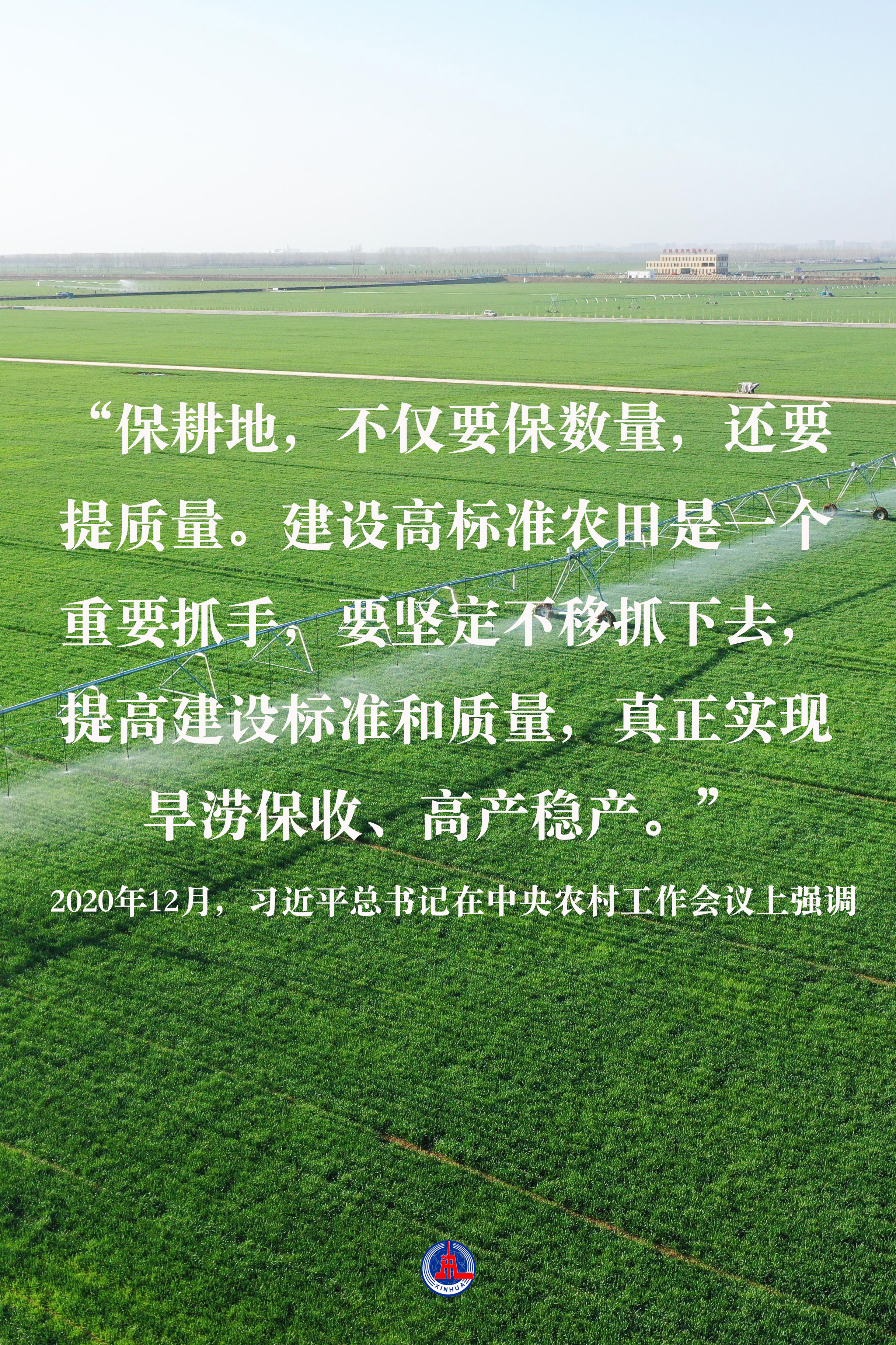 習(xí)近平總書記關(guān)切事｜藏糧于地、藏糧于技，筑牢豐收之基