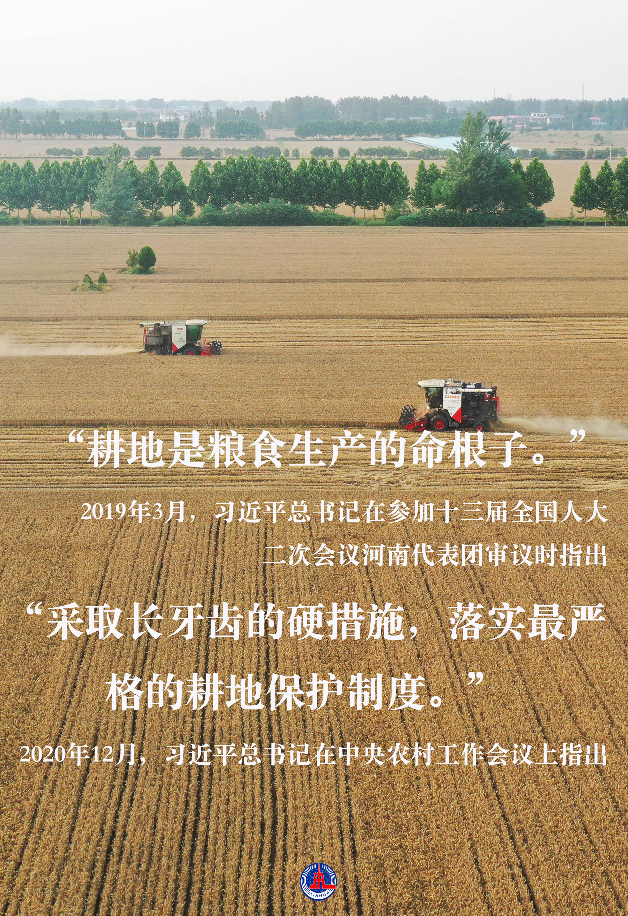 習(xí)近平總書記關(guān)切事｜藏糧于地、藏糧于技，筑牢豐收之基