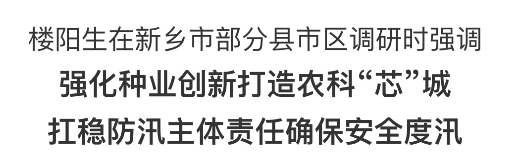 樓陽(yáng)生在新鄉(xiāng)市部分縣市區(qū)調(diào)研