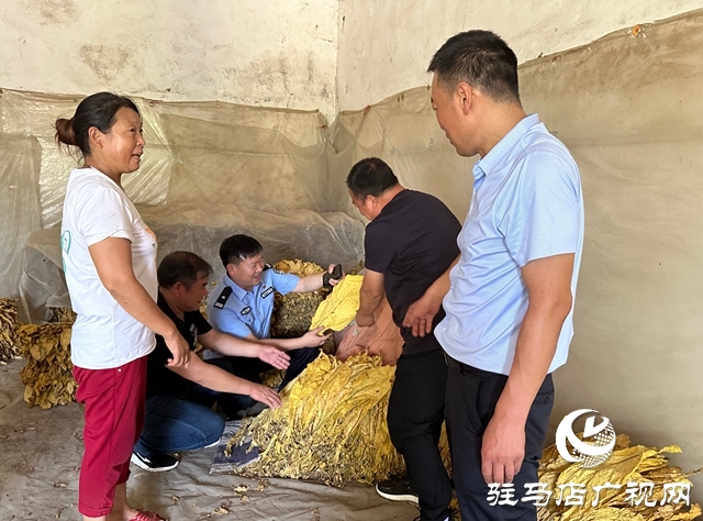 泌陽(yáng)縣郭集鎮(zhèn)：“保姆式”服務(wù)助力煙農(nóng)豐產(chǎn)增收