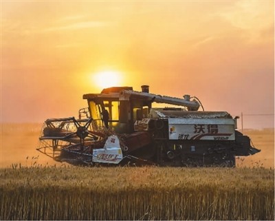 風(fēng)吹麥香，傳遞豐收的消息，網(wǎng)友熱議今年麥?zhǔn)?mdash;&mdash;&ldquo;喜看豐收糧滿倉！&rdquo;