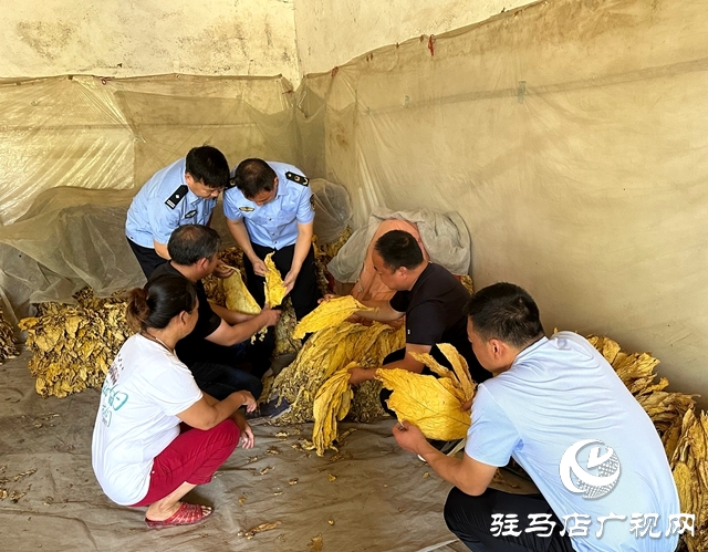 泌陽(yáng)縣郭集鎮(zhèn)楊樹(shù)崗村駐村工作隊(duì)：發(fā)揮行業(yè)優(yōu)勢(shì) 助力群眾致富