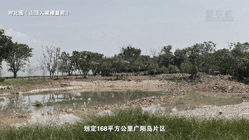 望長江｜重慶：廣陽島的美麗蝶變