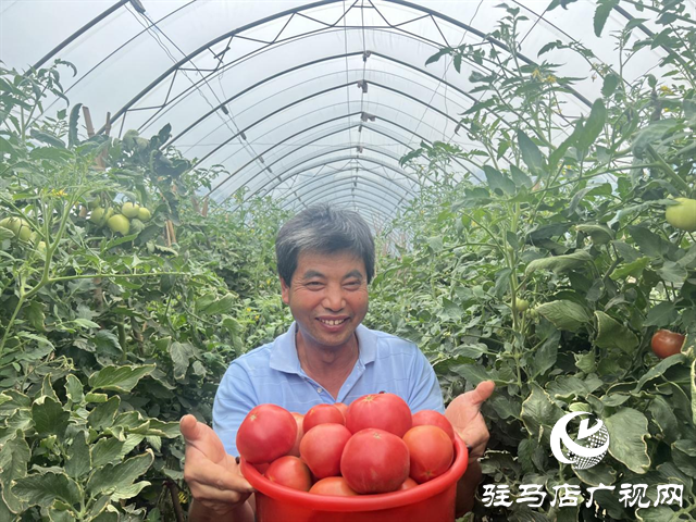 驛城區(qū)朱古洞鄉(xiāng)：致富&ldquo;領(lǐng)頭雁&rdquo;為鄉(xiāng)村振興賦能增色