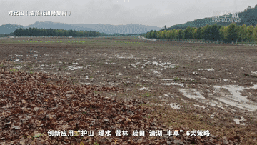 望長江｜重慶：廣陽島的美麗蝶變