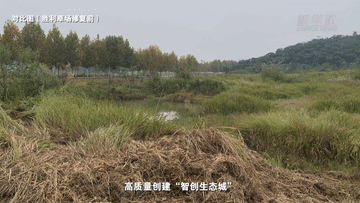 望長江｜重慶：廣陽島的美麗蝶變