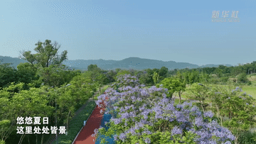 望長江｜重慶：廣陽島的美麗蝶變