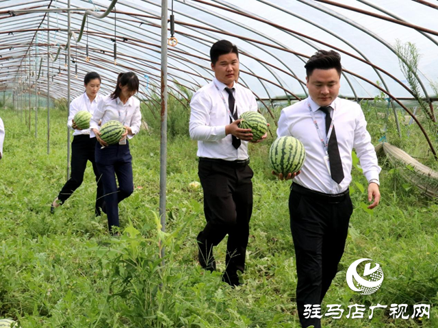駐馬店天縱時代城：愛心助農(nóng)認(rèn)購西瓜 轉(zhuǎn)贈戶外工作者傳遞愛心