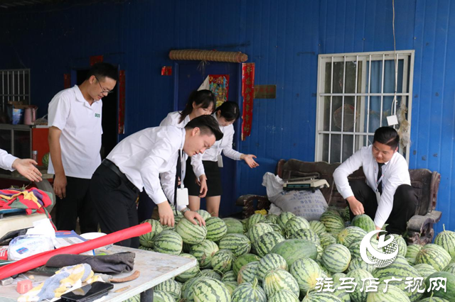 駐馬店天縱時代城：愛心助農(nóng)認(rèn)購西瓜 轉(zhuǎn)贈戶外工作者傳遞愛心